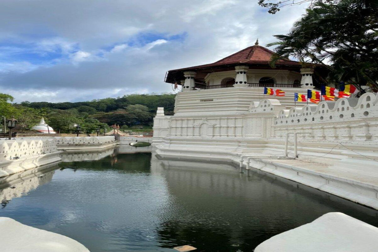 Vanuit Bentota: Kandy en Pinnawala Olifantenweeshuis TourKandy / Pinnawala rondreis vanuit Galle Hikkaduwa Mirissa Weligama