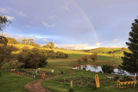 Nannup: Chestnut Brae Witches Garden Tour with Snack
