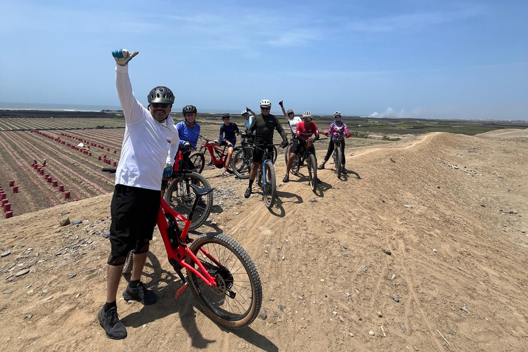 Trujillo: Chan Chan Bike Tour CHAN CHAN TOUR BY BICYCLE (E-bike)