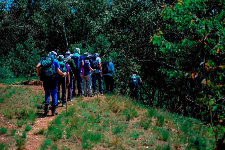 Kigali: Mount Jali Hiking and Village Walk