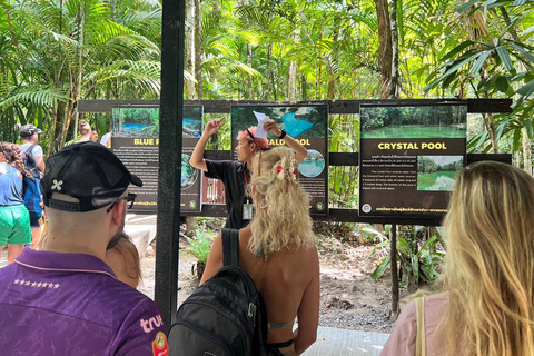 Krabi: Grotta della Tigre, sorgenti termali e tour della giungla della piscina di smeraldoKrabi: tour nella giungla della Grotta della Tigre, delle sorgenti termali e della Piscina