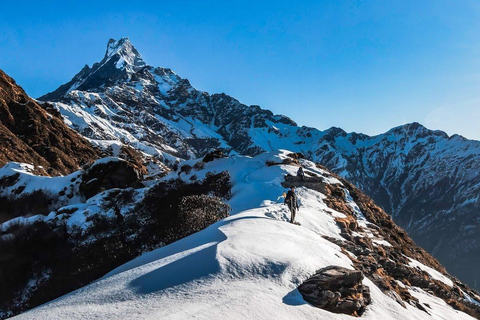 Mardi Himal Trek in 7 Days where Solitude Meets the Peak