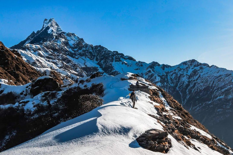 Mardi Himal Trek in 7 Days where Solitude Meets the Peak