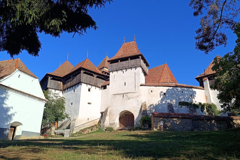 Brașov – Viscri – Sighișoara Day Trip