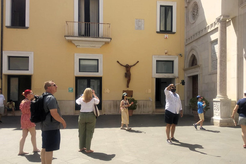 Pompeya y Sorrento Privado con guía y traslado