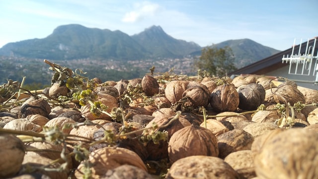 TREK 'N' COOK, Amalfi Coast, Agerola