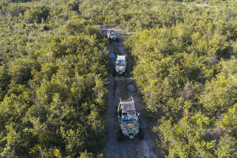 Zanzibar ultimata buggyäventyr