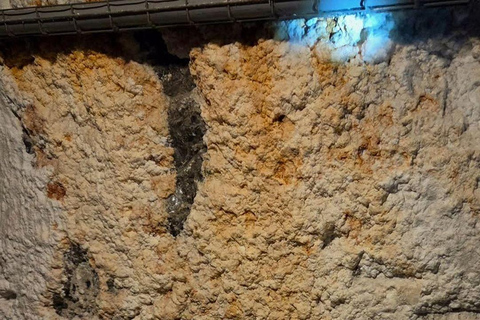 Krakow: Private City Tour & Wieliczka Salt Mine Visit Krakow: City Tour & Wieliczka Salt Mine Visit(Group)