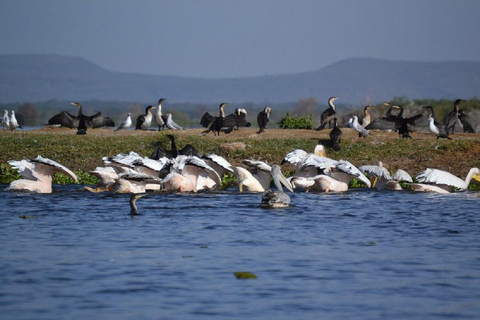 Nairobi: Hell's Gate & Lake Naivasha Day Trip with Boat Ride
