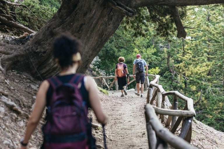 Desde Georgioupolis Ruta de un día por la Garganta de Samaria con guía