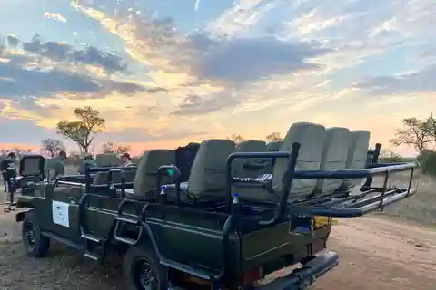 Reserva de caça de Sabie: Safari ao pôr do sol com Sundowners