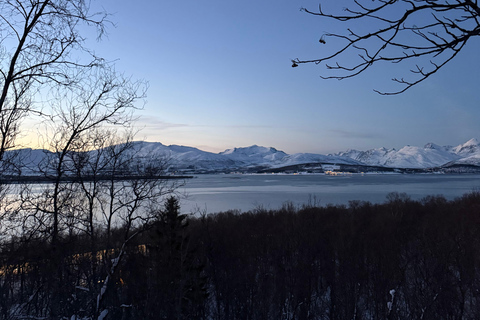 Tromsø: Snowshoe Tour in Coastal Nature Near the City