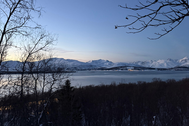 Tromsø: Snowshoe Tour in Coastal Nature Near the City