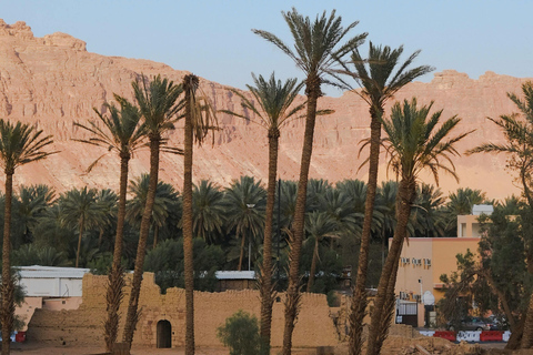 Scopri AlUla come un locale, non come un turista.Scopri AlUla come un vero abitante del posto