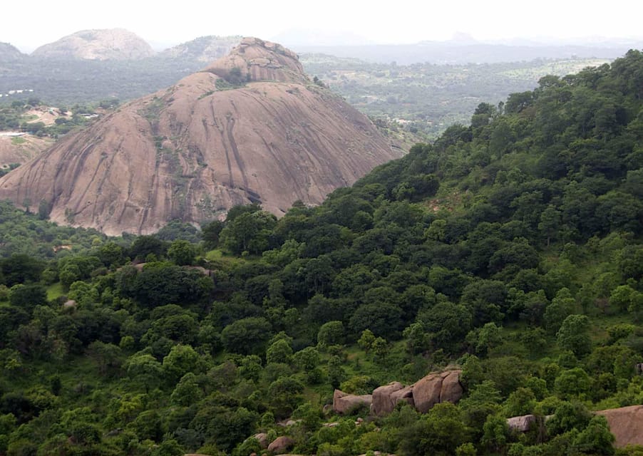 Gita di un giorno ai Sentieri Naturali (Tour guidato da Bangalore) - Hizvo