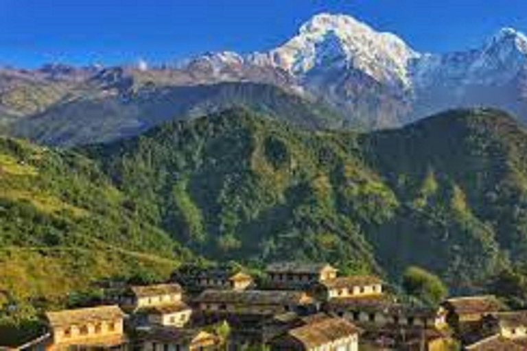 Pokhara: Mardi Himal Trek with Chitwan National Park Tour