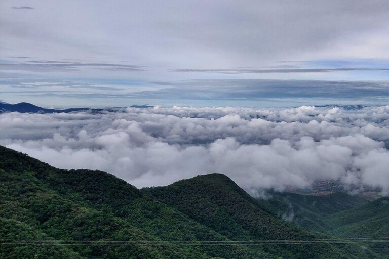 Oaxaca: Hiking in the Mushroom Forest of Cuajimoloyas