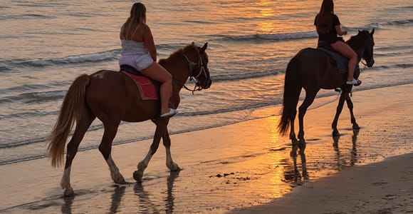 Sousse: Sunset Horseback Riding Tour on the Beach