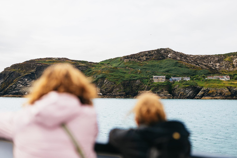 Dublin: Dublin Bay, Howth Coast and Ireland's Eye Boat Tour