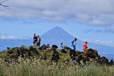 Excursión a la isla de São Jorge con opciones de snorkel y senderismo