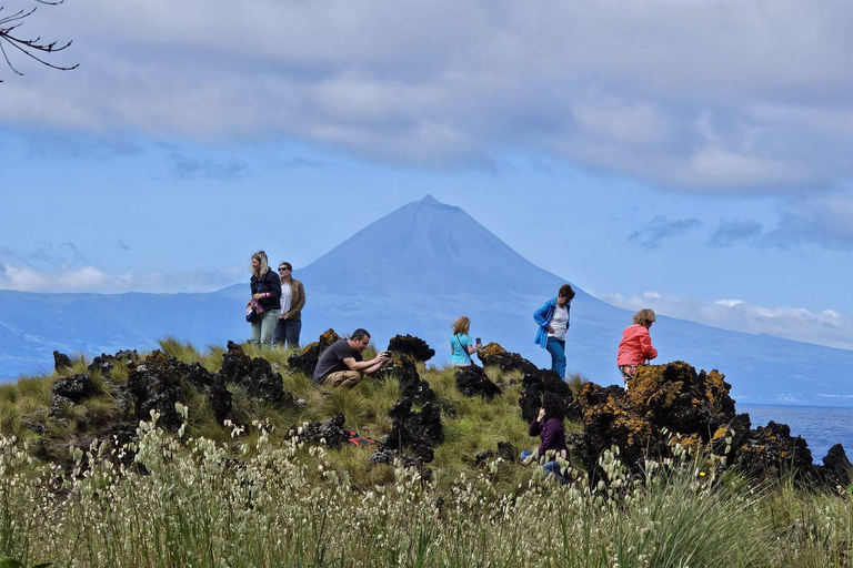 São Jorge Island Tour med alternativ för snorkling och vandring