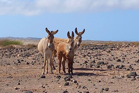 Boa Vista Lighthouse and Wild East 4x4 Jeep Tour