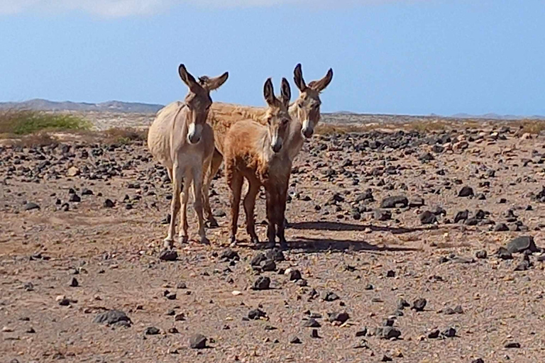 Boa Vista Lighthouse and Wild East 4x4 Jeep Tour
