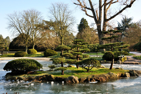 Dusseldorf Family Friendly Highlights & Aquazoo Walking Tour 2-hour: Old Town Highlights Tour