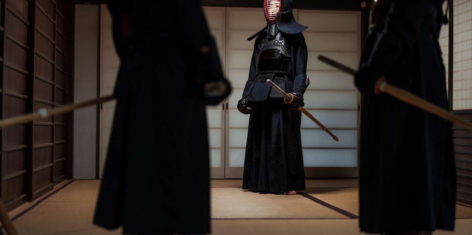 Kyoto experience — temples, geisha, bamboo grove — image 23