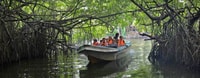 Aventure de la mangrove à Bentota - Hizvo
