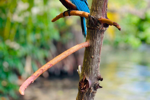 Koggala Lake Guided Boat Safari with Hotel Pickup & Drop Off