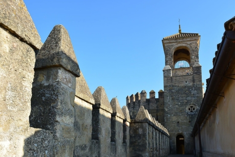 Cordóba: Gärten & Alcázar de los Reyes ChristianosGärten & Festung: Führung auf Spanisch