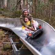 Corin Forest: Alpine Slide Ticket Corin Forest: Alpine Slide Ticket