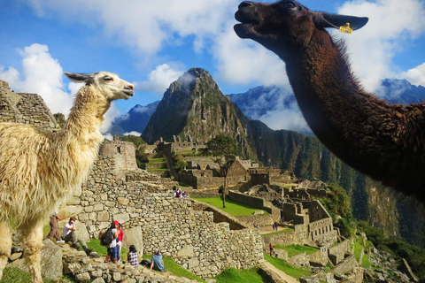 From Cusco: Machu Picchu Tour 1-Day by Train + Almuerzo Cusco: Machu Picchu Tour 1-Day by Train + Almuerzo