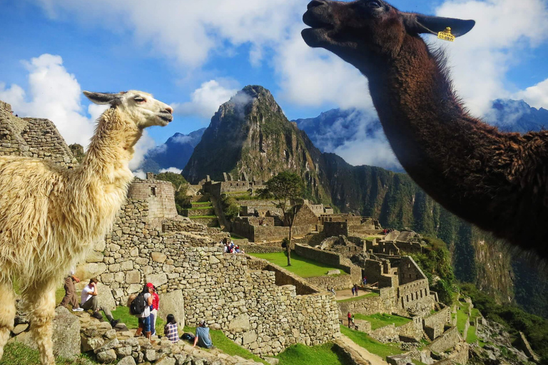 From Cusco: Machu Picchu Tour 1-Day by Train + Almuerzo Cusco: Machu Picchu Tour 1-Day by Train + Almuerzo