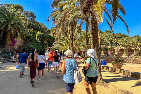 Barcelona: Park Güell Guided Tour with Skip the Line Ticket Spanish Tour