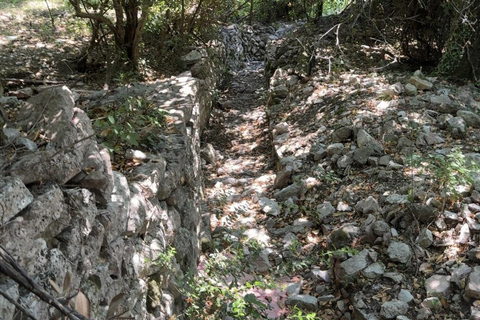 Tivat: Gornja Lastva Hike with a Traditional food Picnic