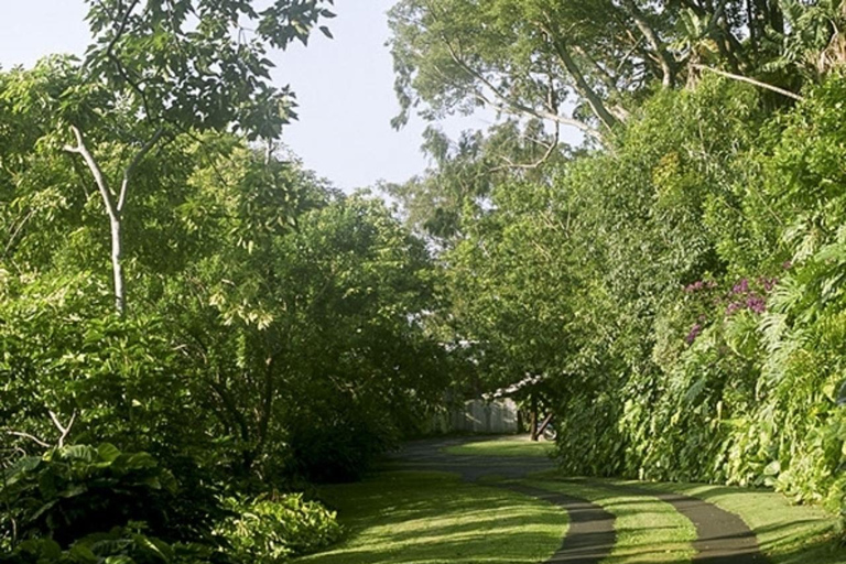 Honolulu: Tour architettonico della casa di Liljestrand