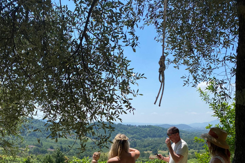 Tasting in a Vineyard with transfer from Pisa