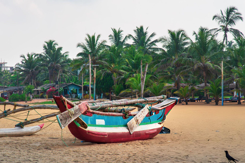 Negombo Day Trip: Dutch Forts, Canals & Seafood