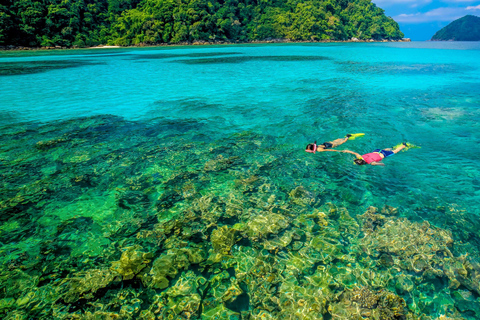 Phuket/Khao Lak: The Ultimate Surin Island Snorkel Odyssey Hotel pickup in Phuket