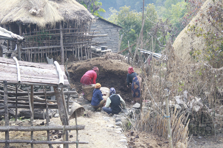 Pokhara: 4 Day Poon Hill Trek with 3 Day National Park Tour