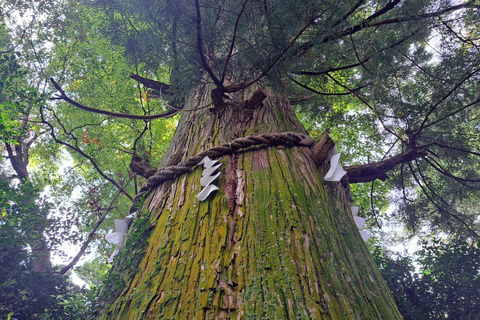 Mount Takao Adventure: Discover Nature &amp; Tradition in Tokyo