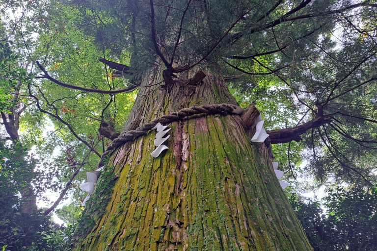 Avontuur op de Takao berg: Ontdek natuur en traditie in Tokio