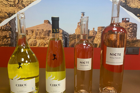 VALLADOLID: TOUR with a sommelier. Tasting of 3 wines + TAPAS.