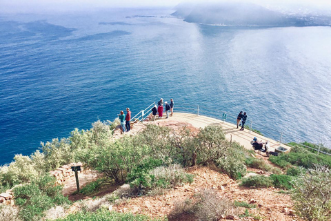 Ciudad del Cabo: Visita guiada de un día al Cabo de Buena Esperanza y los Pingüinos