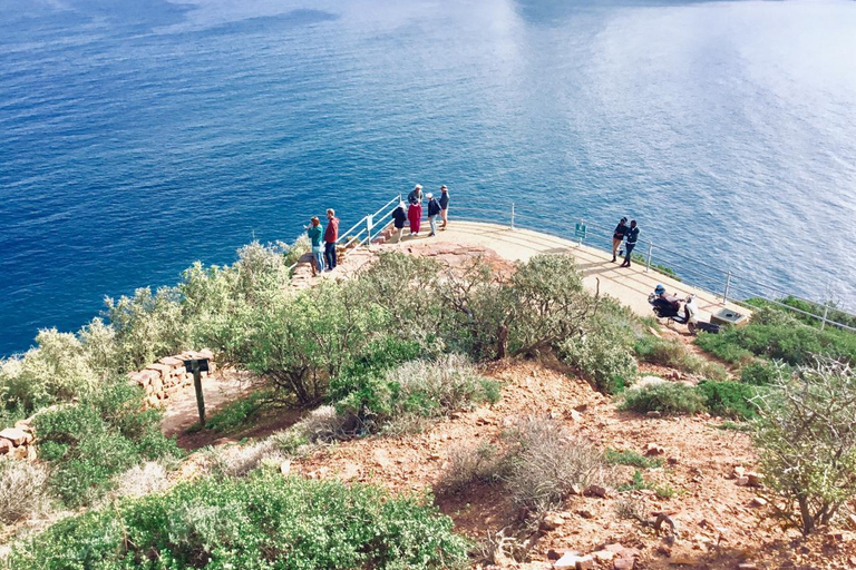 Ciudad del Cabo: Visita guiada de un día al Cabo de Buena Esperanza y los Pingüinos