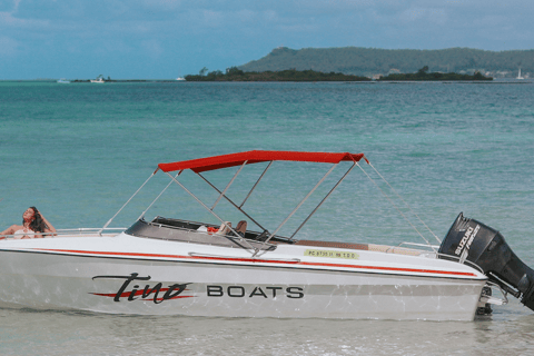 Maurice: bateau à moteur privé ou catamaran vers l'île aux CerfsHors-bord privé vers l'île aux Cerfs