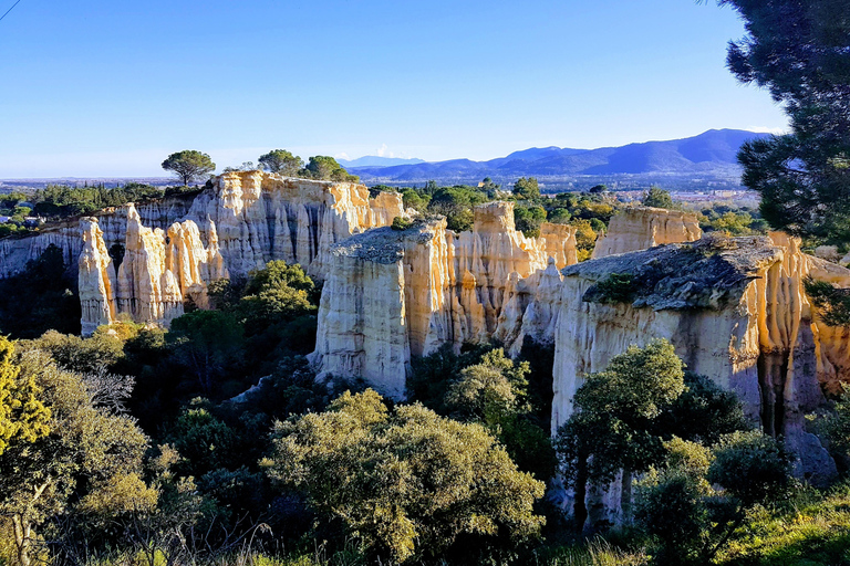 A sensory walk at Les Orgues, between nature and landscape A sensory walk at the Orgues, between Nature and Landscape
