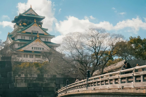 Kyoto, Nara, or Osaka: Private Day Trip with Guide and Car